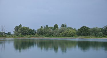 Bild Eich