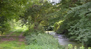 Bild Eich Naturweg Seebach