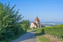 Landschaftsbild in Rheinhessen Bild Rheinhessen 3